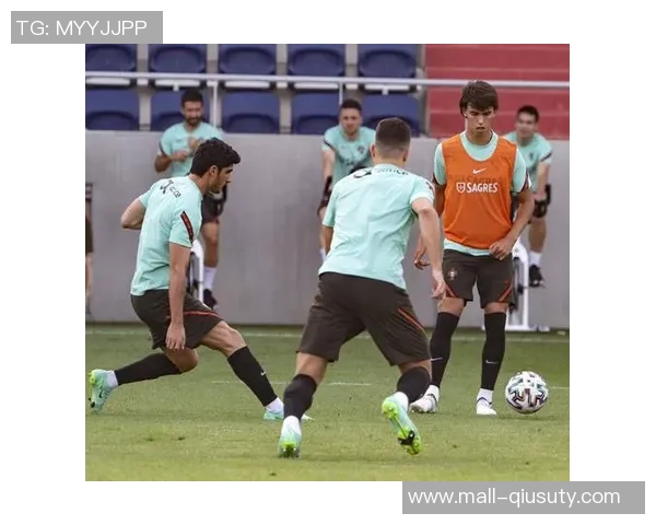 欧锦赛女子足球精彩回顾与未来展望：赛场上的拼搏与荣耀